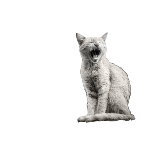 A Black And White Portrait Of A Yawning Cat Sitting On A Rooftop, Adds A Dramatic Flair. 19499 - Cat PNG image with transparent background
